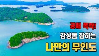 걸어가는 무인도~ 바다낚시 캠핑 주택 건축 가능한 2501평 섬 통째로 공매에 나왔습니다!