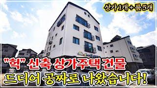 "서울 1시간" 세련된 신축 다가구 건물 공짜! 땅값만 반영되어 경매로 나왔습니다, 승강기+주차장 완벽하네요!