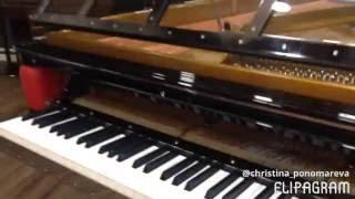 Салон пианино и роялей PIANOS - обзор рояля BLUTHNER PH GRAND