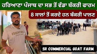 Haryana Punjab da vada bakri farm || SR COMMERCIAL GOAT FARM #farming