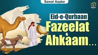 Eid e Qurbaan || Fazeelat & Ahkaam || Sawal Aapke