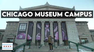 BEST CHICAGO MUSEUMS!! Adler Planetarium, Shedd Aquarium, & Field Museum Campus Chicago Tour