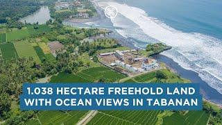 1 Hectare Oceanfront Land  on Freehold Title in Tabanan for Sale