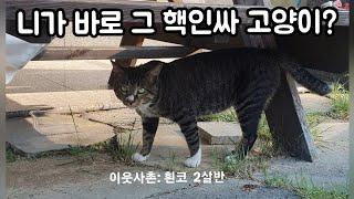 니가 그 유명한 흰코구나?