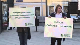 Молодежное "Яблоко" против догхантеров