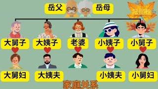 家庭关系（3）