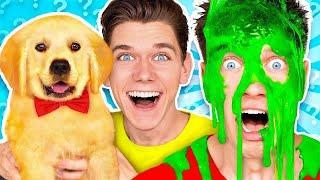 Dogs Pick our Mystery Slime Challenge! Learn How To Make the Best DIY Funny Switch Up Oobleck Game