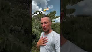 #music #youtube #funny #ihavethisthingwithplants #youtubeshorts #comedy #fanie #fany #duet #life