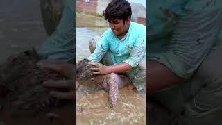 Best Revenge  || Funny Videos | Chohanidiots