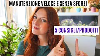 5 consigli per una MANUTENZIONE dell'acquario veloce e senza sforzi!