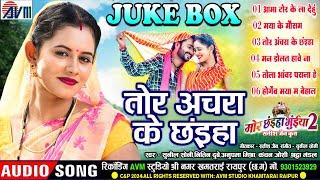 Mor Chhaiya Bhuiya 2 | Cg Film Song | Tor Achara Ke Chhaiya | AudioJukebox | Man Diksha, Elsa Deepak