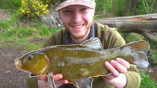 Scottish Tench Fishing