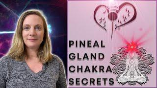 Chakra Series: Dive into Self-Acceptance with the Pineal Gland Chakra