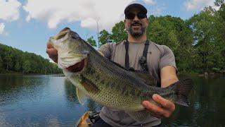 Post Spawn Bass Fishing (New 2024 PB on the Wacky Rig!!!)