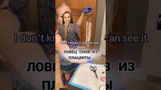 #интересно #новости #плацента #еда #ловецснов