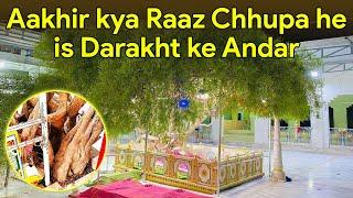 Aakhir Kya Raaz Chhupa he is Darakht Me I HAZRAT SUFI HAMIDUDDIN NAGAURI I Nagaur Sharif Vlog