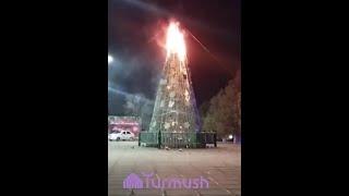 В одном из городов Кыргызстана ночью сгорела главная новогодняя елка