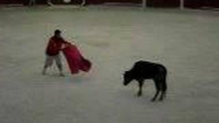Cancun Bullfight