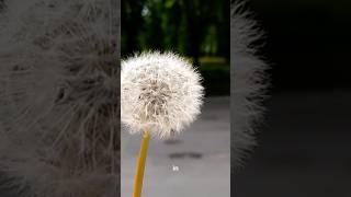Moon Oxygen… From Your Breath? 🫁 | NASA's MOXIE-2 Explained #space #nasa #viralvideo #fyp #shorts