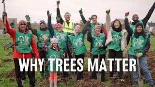 Why Trees Matter