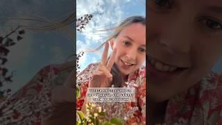 #индия #туласи #растение #кришна #бхакти #исккон #вайшнавизм #харекришна