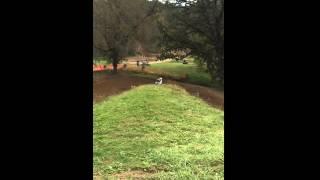 Ryan Matejka heel clicker at Meadow Valley Motocross