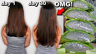 30 DAYS OF ALOE VERA FOR HAIR GROWTH BEFORE AND AFTER RESULTS