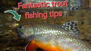 Trout Fishing Tips: How to Catch More Fish