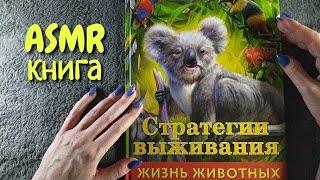 Чтение для сна, асмр книга близкий шепот • ASMR стратегии выживания ч1, видео для расслабления и сна