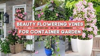 10 Flowering Vines for Container Gardening 