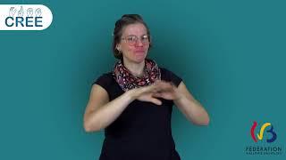 For Decret   Accompagnement pedagogique