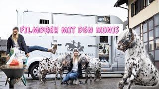 Filmdrehs mit den Ponys