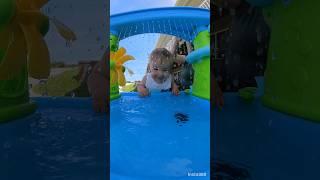 Water table! #watertable #dadlife #toddleractivities #toddlerfun #toddlers #toddlerlife #toddlermom