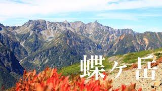 【夫婦登山】大絶景の蝶ヶ岳 | 北アルプス日帰り | 三股登山口からピストン