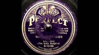 Sugar Daddy Blues ~ Bill Cox (The Dixie Songbird) with Guitar and Yodeling (1935)