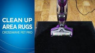 How to Clean Area Rugs with Your CrossWave® Pet Pro