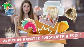 The CUTEST Hamster Subscription Boxes! 