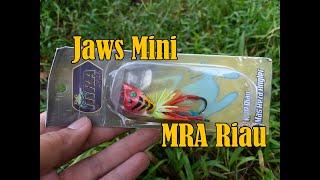 Jaws MRA Riau