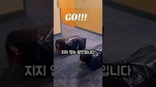 3달동안 '점심내기'에서 절대 지지 않는 학생의 비밀