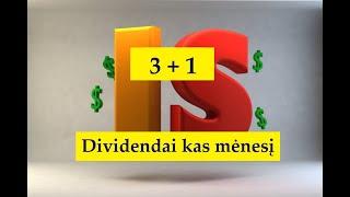 3 + 1 DIVIDENDAI KAS MĖNESĮ, Investavimas, akcijos, analizė