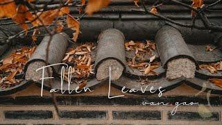 Fallen Leaves - Intimate piano relaxing music