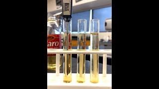 CF Viscosity Lab Video