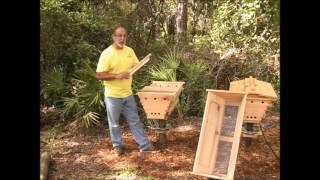 Top Bar Hive Basics