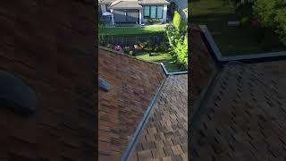 cedar roof wash