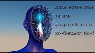 №43 》Далд ертөнцөөс та аль мэдрэхүйгээрээ илүү мэдээлэл авдаг вэ?