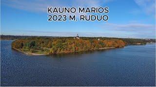 RUDUO. KAUNO MARIOS 2023 m. Lietuva. KAUNAS LAKE. 2023 autumn. Lithunia.