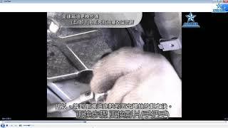 【AI資料庫】智慧修車新主張-保養篇