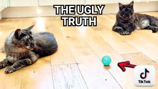 Interactive Cat Toys: UGLY Truth TikTok Users Don't See