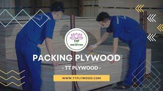 Packing Plywood - Tt Plywood Co.,Ltd - Vietnam Plywood Manufacturer And Supplier