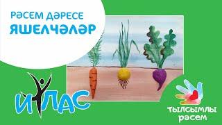 Тылсымлы рәсем: Яшелчәләр / Овощи